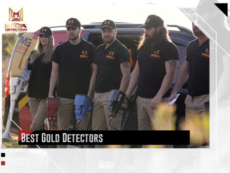 Best Gold Detectors 2022