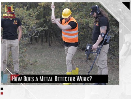 How Does a Metal Detector Work?