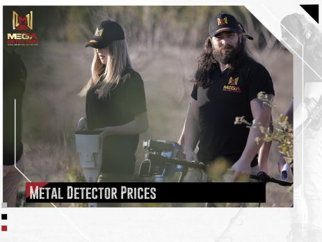 Metal Detector Prices