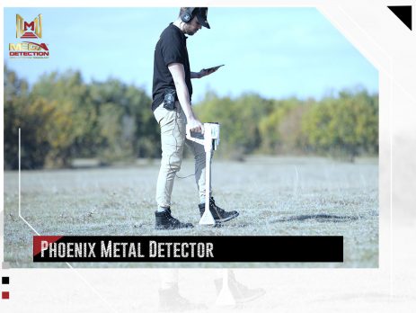 Phoenix Metal Detector
