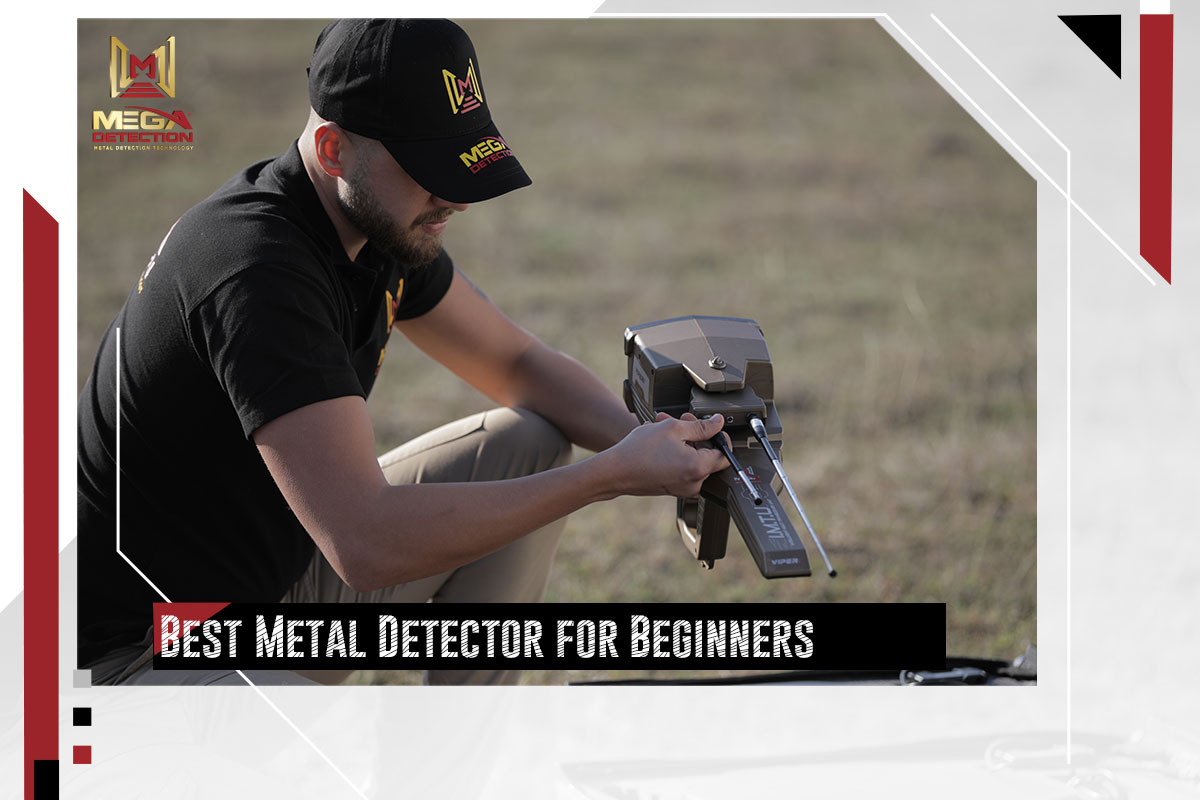Best Metal Detector for Beginners